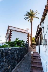 een palmboom en een gebouw met een stenen muur bij Casa Niebla - Zona Rural - Alajeró in Alajeró