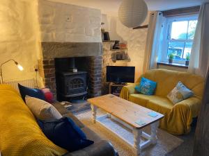 a living room with a couch and a fireplace at Forest Hill View in Cinderford