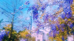 Giardino di 山多香青年民宿 Santhosham Hostel