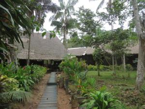 a path leading to a house in a garden at Sandoval Lake Lodge in Puerto Maldonado