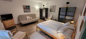 Televízia a/alebo spoločenská miestnosť v ubytovaní Zrínyi 11 Apartments