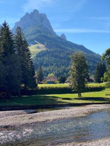 a river with a tree and mountains in the background at Garnì Villa Elsa in Pozza di Fassa