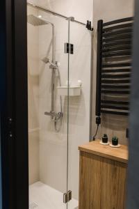 eine Dusche mit Glastür im Bad in der Unterkunft Domek na wyłączność - Borówkowa. SAUNA 