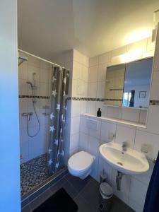 a bathroom with a toilet and a sink and a shower at Haus zum Rütli in Chur +35 photos