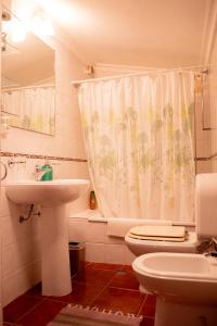 a bathroom with a sink and a toilet and a shower curtain at Casa Sobreira da Silva - Alojamento Local in Almeida