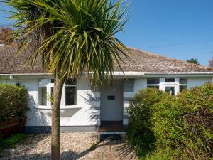 a palm tree in front of a white house at Pass the Keys Little Haven A stunning Bungalow in Minnis Bay in Birchington