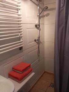 W łazience znajduje się prysznic i czerwony ręcznik. w obiekcie Jurgvita w Połądze