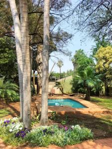 a swimming pool in a garden with trees and flowers at Waterfront Guest House in Hartbeespoort