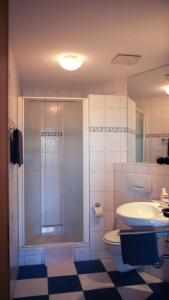 ein Bad mit einer Dusche, einem WC und einem Waschbecken in der Unterkunft Ferienhof Rustemeier in Altenberge