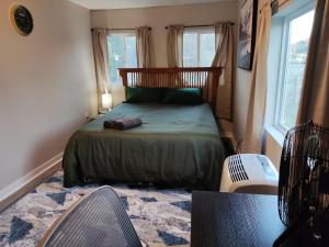 a small bedroom with a bed and two windows at Tranquil Oasis- Private Rooms -Near Downtown Indianapolis in Indianapolis