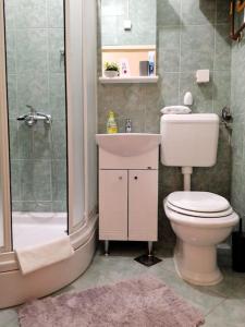 La salle de bains est pourvue de toilettes, d'un lavabo et d'une douche. dans l'établissement Apartman Nostalgia u Sarajevu, à Sarajevo