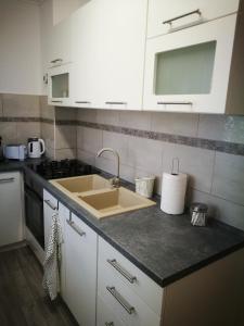 Kuchyň nebo kuchyňský kout v ubytování Fontana Apartman + 7 fotografií