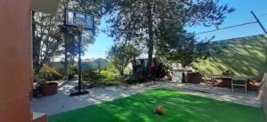 un patio trasero con un aro de baloncesto y un césped verde en Casa Tuzos, en Pachuca de Soto