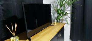 einen Flachbild-TV auf einer Holztheke in der Unterkunft Studio 53 in Blumenau