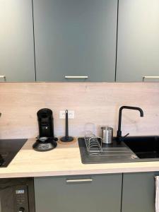 - un comptoir de cuisine avec évier et cafetière dans l'établissement / /Sacré studio/ /wifi/ /parking privé, à Rodez