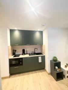 uma cozinha com um lavatório e uma bancada em / /Sacré studio/ /wifi/ /parking privé em Rodez