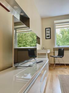 TV a/nebo společenská místnost v ubytování Smelte Studio Apartment
