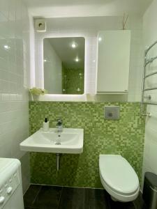 Koupelna v ubytování Smelte Studio Apartment