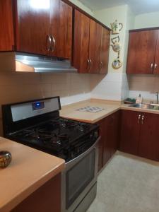 uma cozinha com um fogão e um lavatório em Recidencial job em Santiago de los Caballeros
