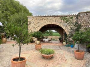 a stone archway with plants in pots in a courtyard at Can Carbó de Peralada in Peralada