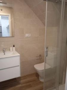 a bathroom with a toilet and a glass shower at La casa del Timón.Planta baja in Muros