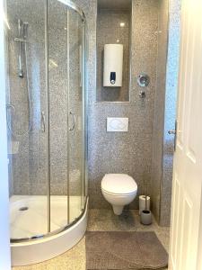 La salle de bains est pourvue d'une douche en verre et de toilettes. dans l'établissement schicke, kleine Wohnung in Bamberg, à Bamberg