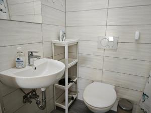 een badkamer met een wastafel en een toilet bij Grünes Idyll im Herzen Kölns in Keulen