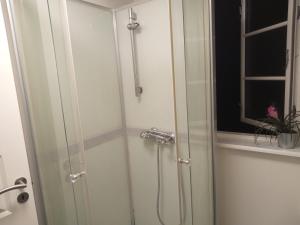 y baño con ducha y puerta de cristal. en Professor Labri Apartments en Odense