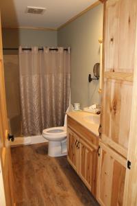 a bathroom with a toilet and a sink and a shower at Vista Lodge Benton PA near Ricketts Glen State Park in Benton