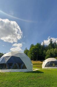 dwa namioty na polu trawy w obiekcie Glamping Bobrowniczki w Kotlinie Kłodzkiej w Szczytnej
