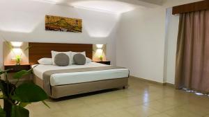 1 dormitorio con 1 cama y una pintura en la pared en Sunsol Isla Caribe en El Agua