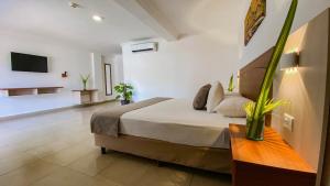 1 dormitorio con 1 cama y TV en la pared en Sunsol Isla Caribe en El Agua