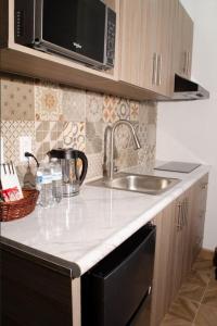 - un comptoir de cuisine avec évier et four micro-ondes dans l'établissement Hotel StayHome, à Ensenada