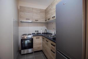 Kuhinja ili čajna kuhinja u objektu Apartman Iris
