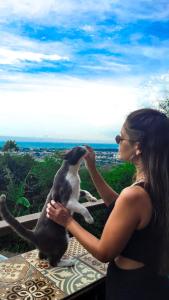 Animale la sau în apropiere de acest apartament