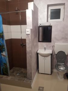 a bathroom with a toilet and a sink and a shower at Motel in Diosig +7 photos