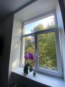 une fenêtre avec une fleur violette dans un vase sur une étagère dans l'établissement Memel studio, à Klaipėda