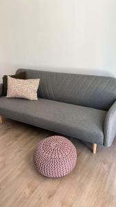 a gray couch with a pink rug and a pink ottoman at De Texelaar in Elspeet