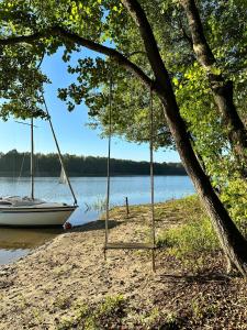 a swing hanging from a tree next to a lake at Strefa medytacji in Wólka