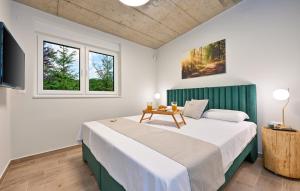 1 dormitorio con 1 cama grande y 2 ventanas en Skitnica House Brulo, en Koprivnica