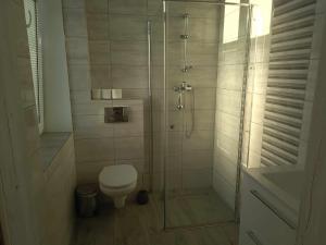 a bathroom with a toilet and a glass shower at Agroturystyka Goliat in Zapolice +15 photos