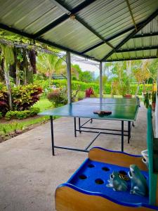 - une table de ping-pong dans un pavillon avec une table dans l'établissement Finca Santa Clara, Rivera-Huila, à Rivera