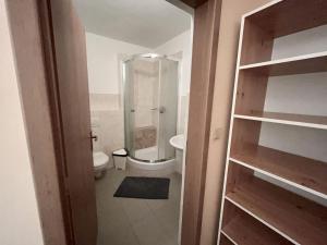 a small bathroom with a shower and a toilet at Johannova Bouda in Vrchlabí +24 photos