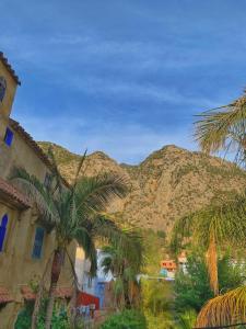 a building with palm trees in front of a mountain at Casa Ali in Chefchaouen