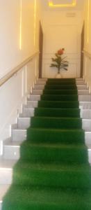 uma escada com alcatifa verde e uma planta em vasos em Hemistry em Ikeja