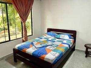 Легло или легла в стая в Bonito - La Maria