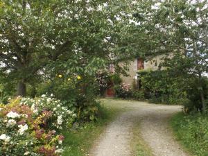 Příroda nedaleko bed and breakfast