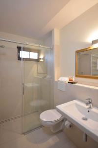 a bathroom with a shower and a toilet and a sink at Hotel am Kirchplatz in Sachsenheim