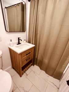 a bathroom with a sink and a shower curtain at 2Beds Apt walking distance to major hospitals - heart of Morris Park - Bronx 30 days plus in Morris Park