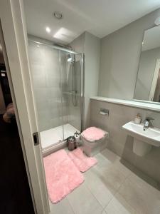 a bathroom with a shower and a toilet and a sink at Private Ensuite Room (King size bed) in Dublin